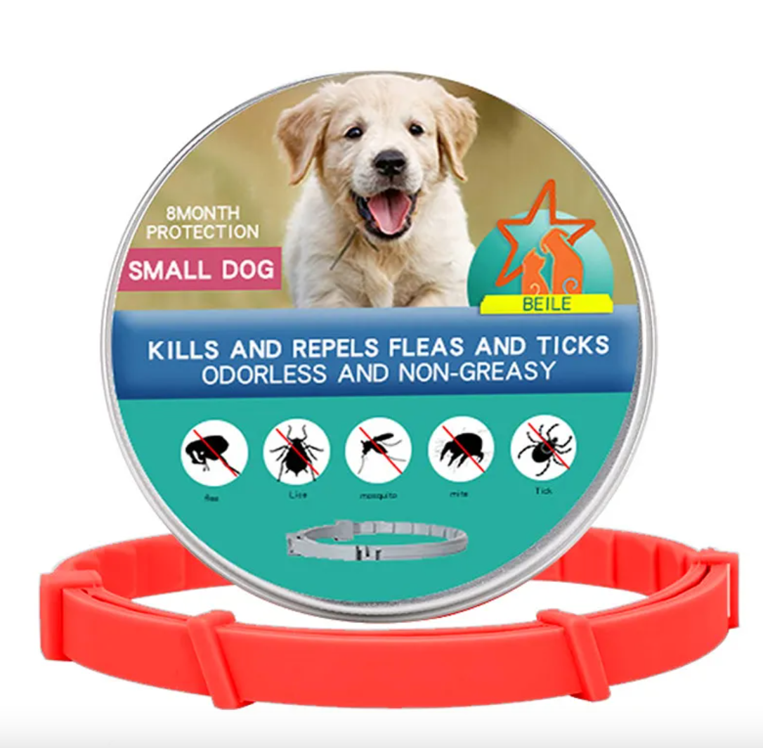 Anti-Flea Puppy Dog Collar